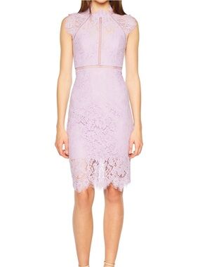 Bardot lace panel sheath cocktail midi dress size 6/S